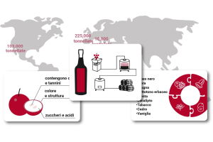 Guida al Cabernet Sauvignon nel mondo nel 2023