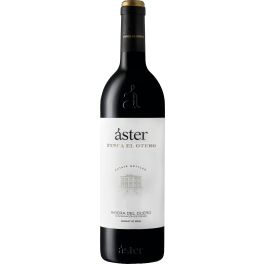 Aster Finca El Otero 2019