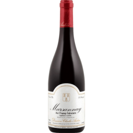 Domaine Charles Audoin Au Champ Salomon Rouge 2020