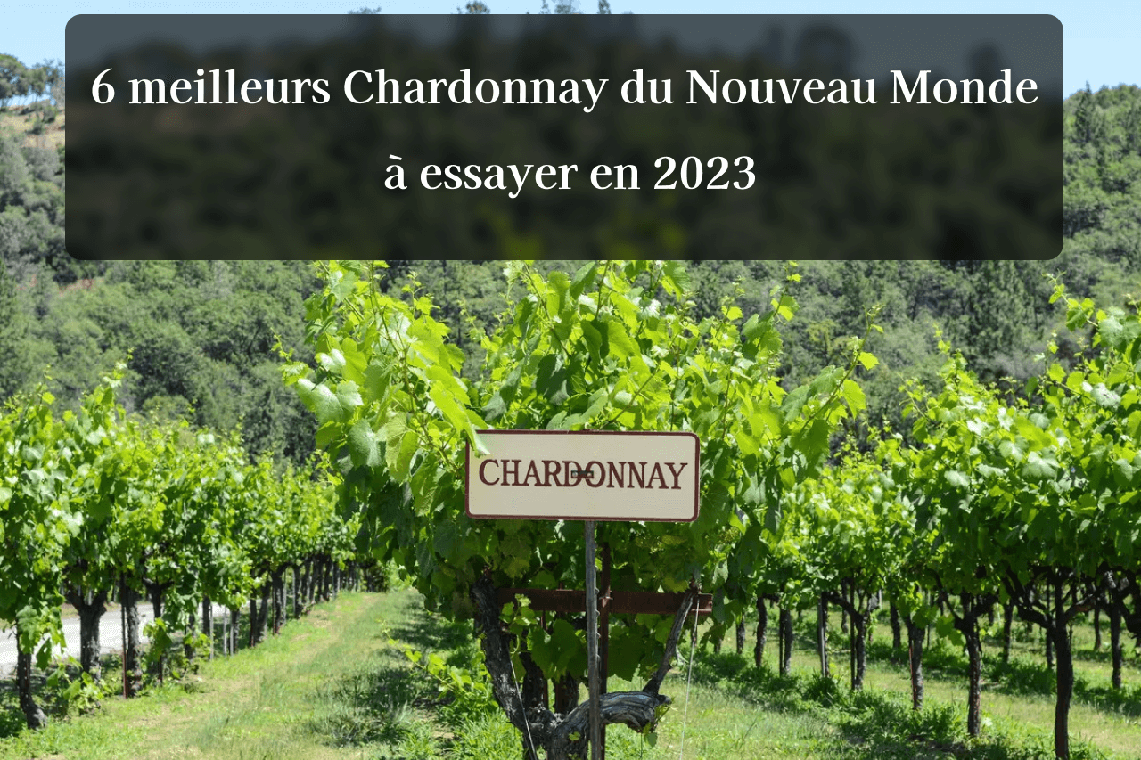 6 meilleurs Chardonnay du Nouveau Monde à essayer en 2023