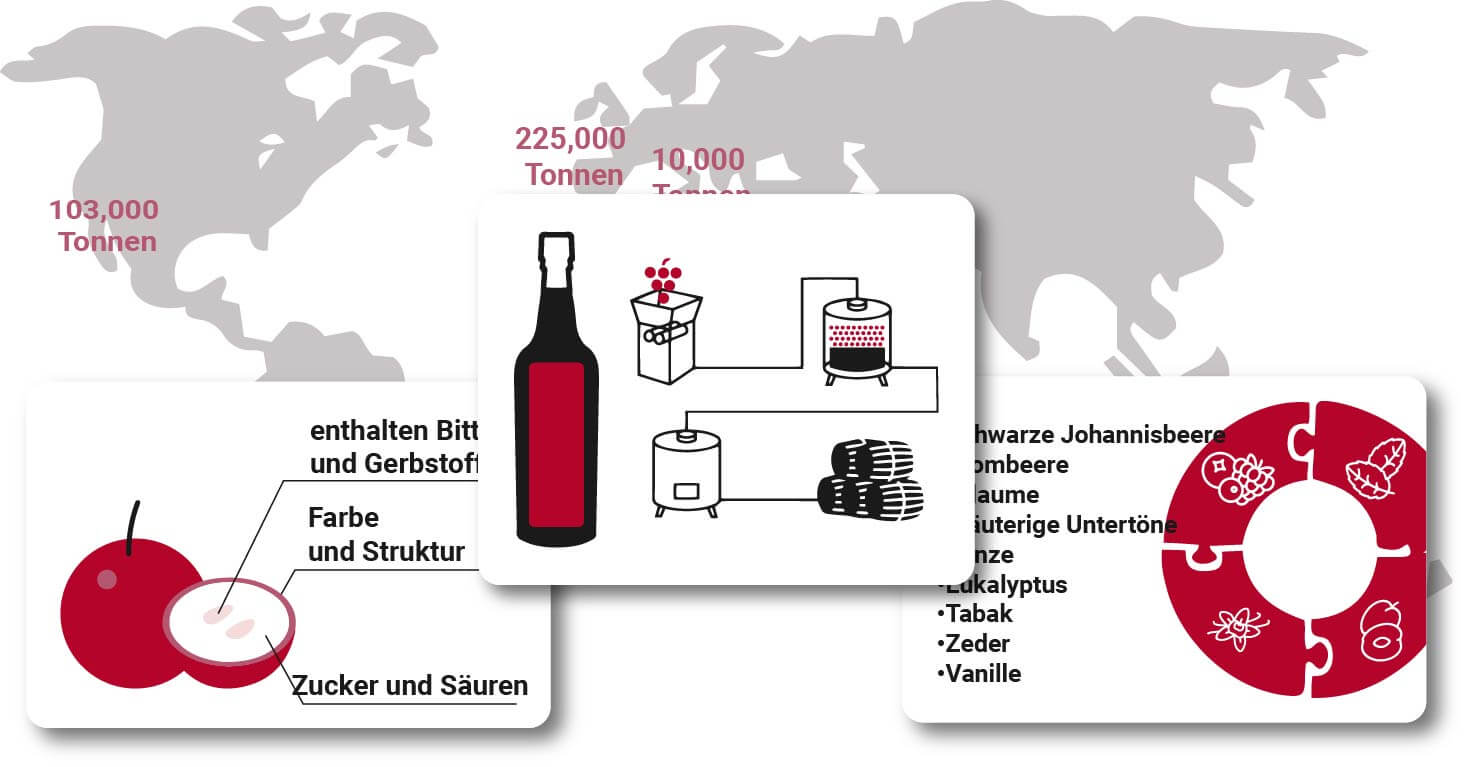 Cabernet Sauvignon Guide Rund um die Welt im Jahr 2023