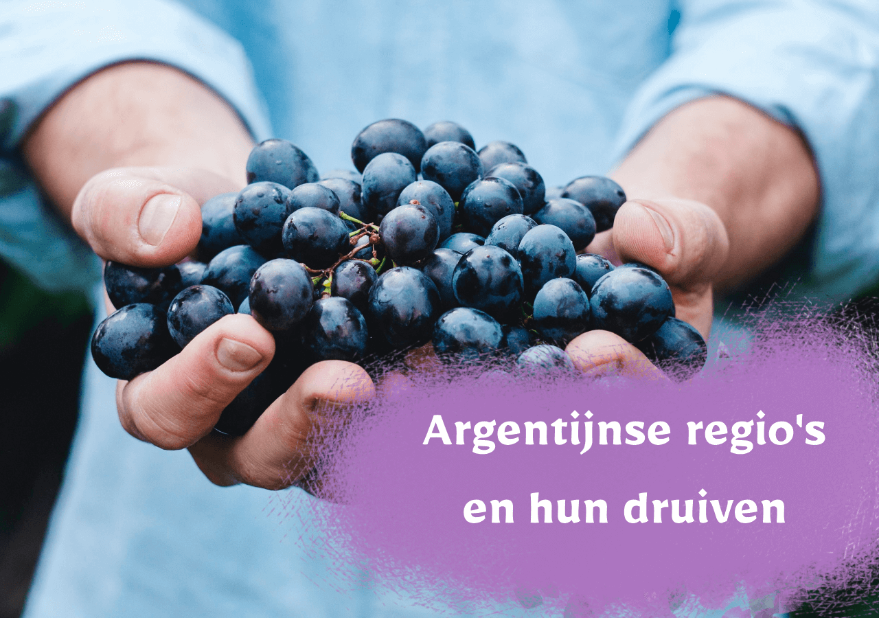 Argentijnse regio's en hun druiven