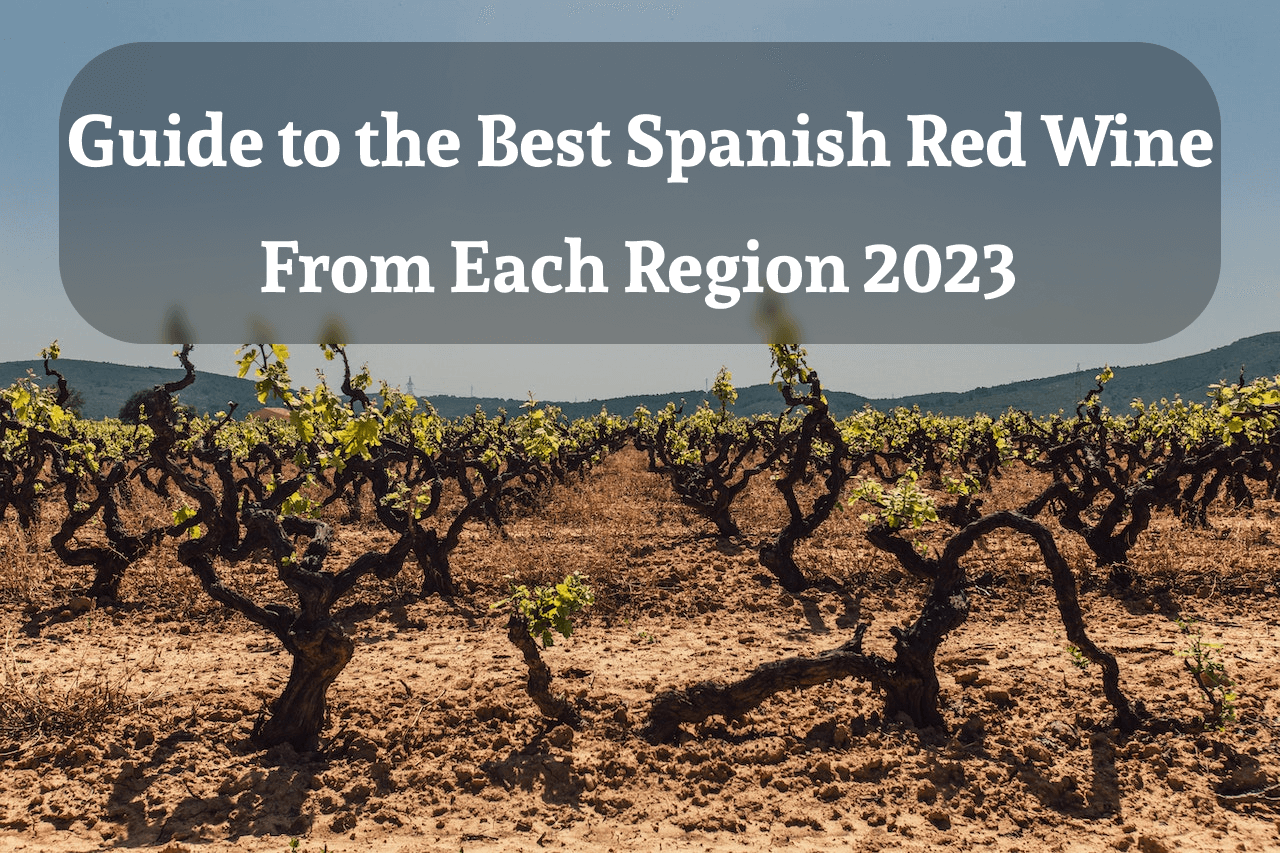 Guide to the Best Spanish Red Wine From Each Region 2023