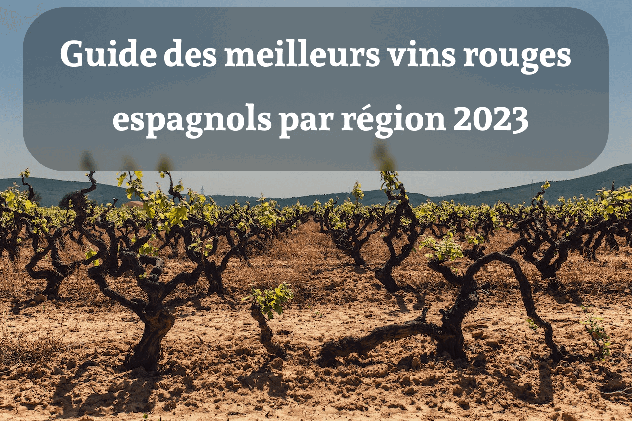 Guide des meilleurs vins rouges espagnols par région 2023