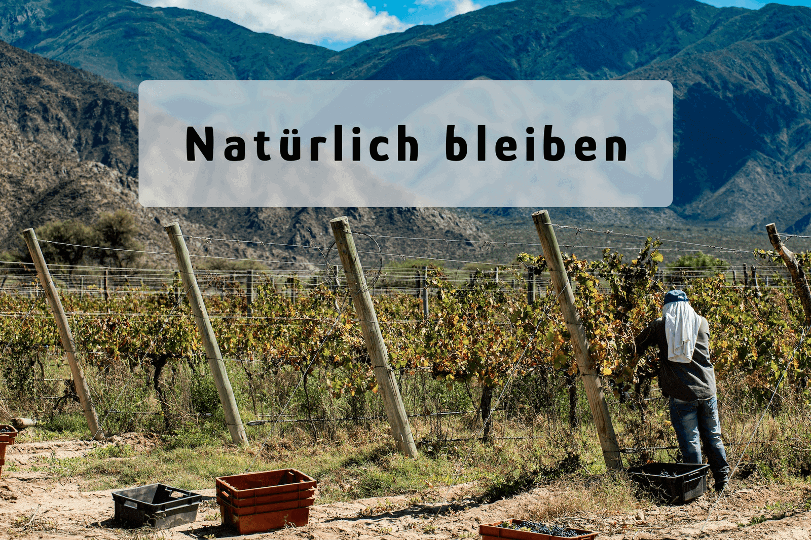 Natürlich bleiben